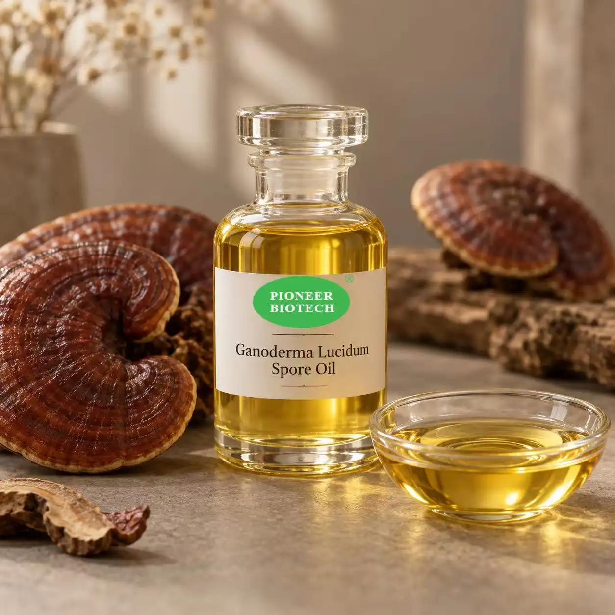 What are the Benefits of Ganoderma Lucidum Spores?